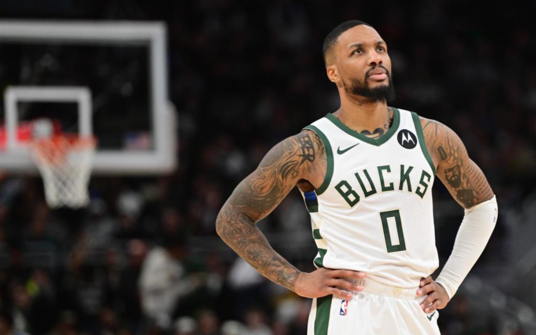 因此会在接 因此会在接