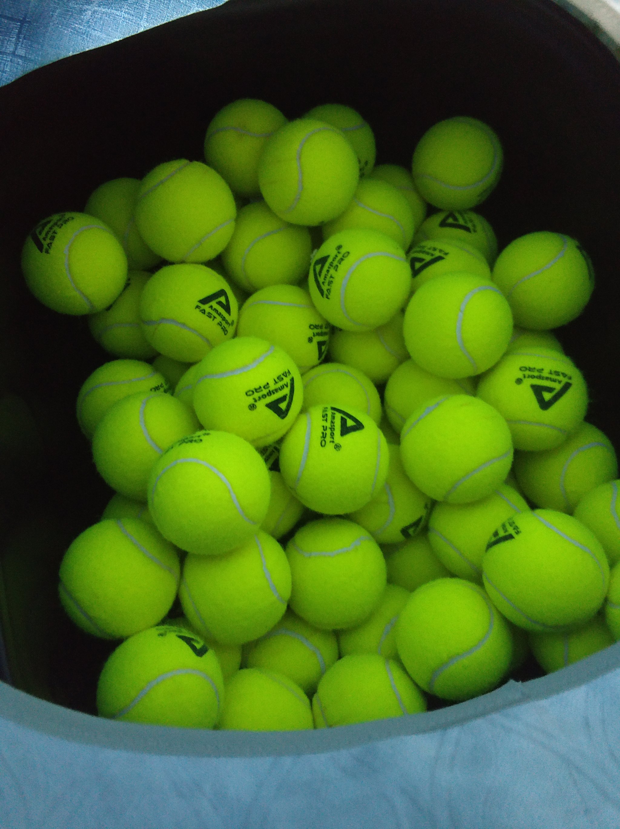 化迅速做出 化迅速做出