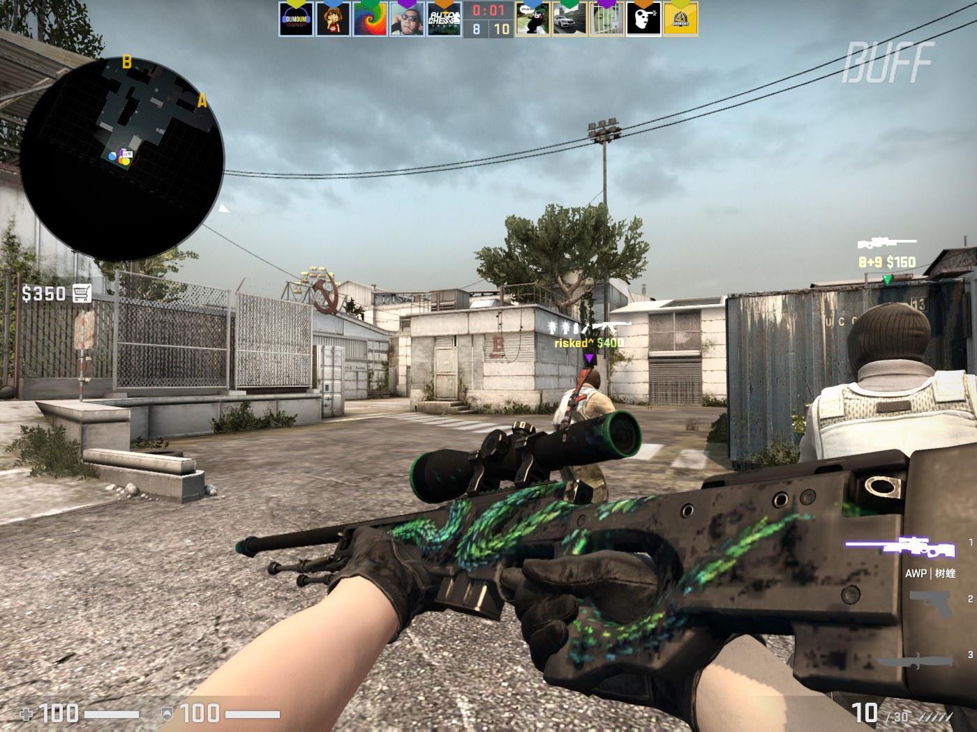 极高的适应 极高的适应