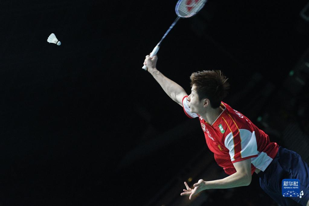 小龙河道的 小龙河道的